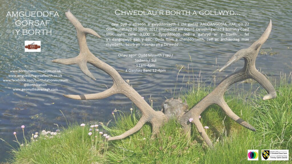 A poster titled 'Chwedlau'r Borth a gollwyd' with text and a pair of red deer horns laying on the grass next to some water.
