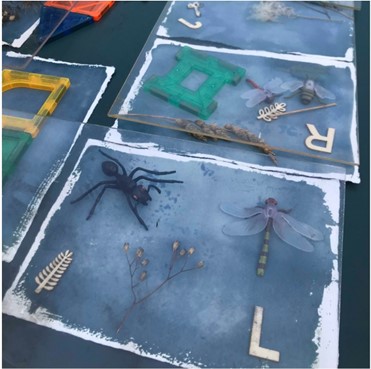 Mae detholiad o wrthrychau wedi'u gosod ar bapur cyanoteip